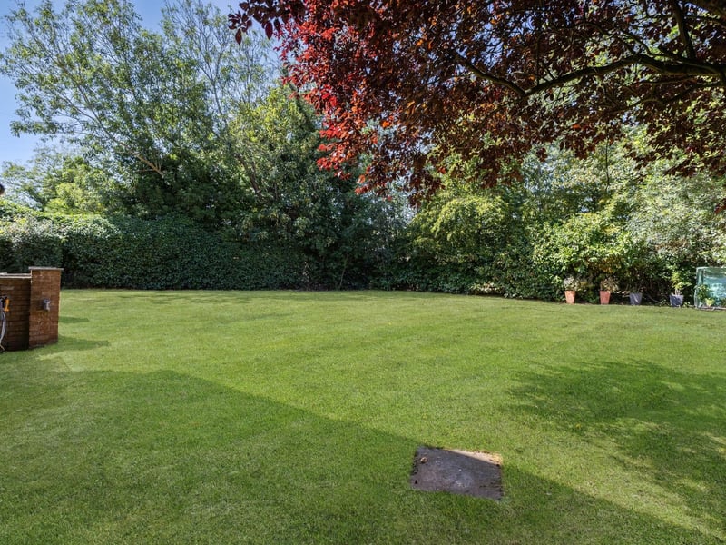 Another angle on the garden.