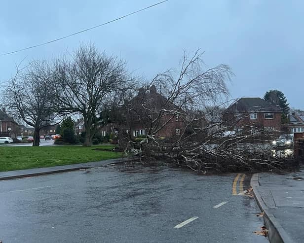 The scene in Kingsway, Boston, on Saturday afternoon due to Storm Darragh. Picture: Connor Sargeant