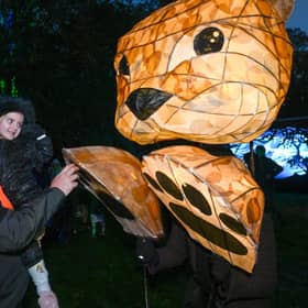 Paul Harvey and Eladie Harvey, aged three, of Alford meet one of the illuminated 'animals'.