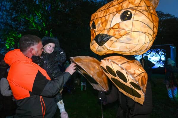 Paul Harvey and Eladie Harvey, aged three, of Alford meet one of the illuminated 'animals'.