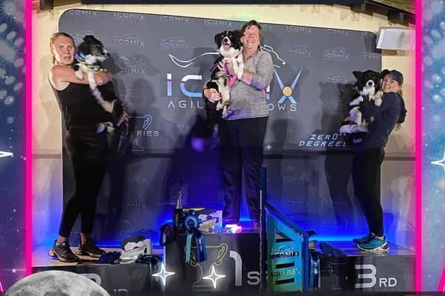 Ken and Angela have been enjoying success with their dogs this summer, including at the Iconix by Night Agility Show where Angela finished first with Tinker in the intermediate Grade 1-3 class.