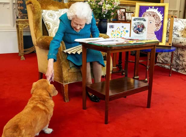 <p>What will happen to the Queen's corgis? (photo: Getty Images)</p>
