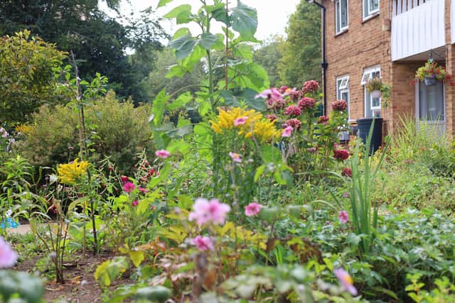 Colourful wildlife friendly gardens at Hartsholme House