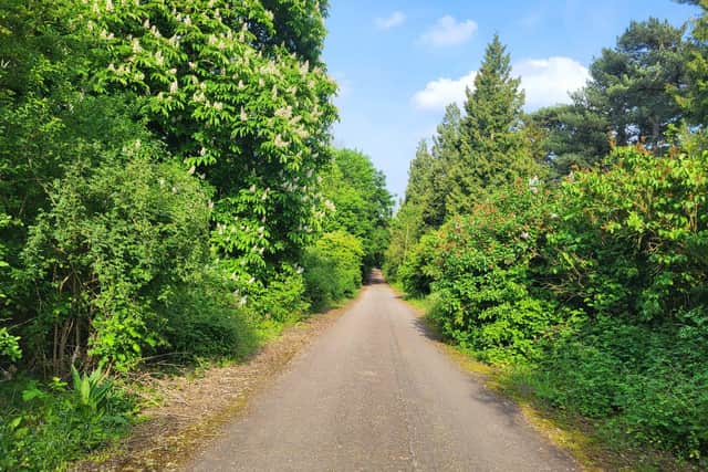 Beautiful Route