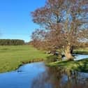 The beautiful countryside at Biscathorpe that campaigners are trying to protect from oil-drilling by the US-owned company, Egdon Resources.