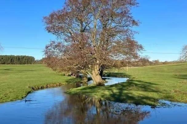 The beautiful countryside at Biscathorpe that campaigners are trying to protect from oil-drilling by the US-owned company, Egdon Resources.