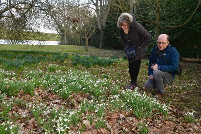 Tom and Louise Doyle of Great Hale