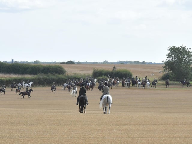 Blankney Hunt riders follow the hounds.