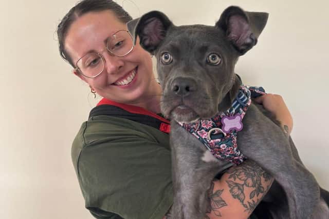 Bambi with Beth, a Senior Dog Welfare Assistant at Jerry Green Dog Rescue