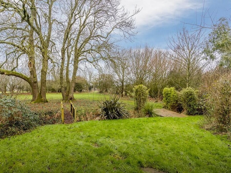 A section of the garden.