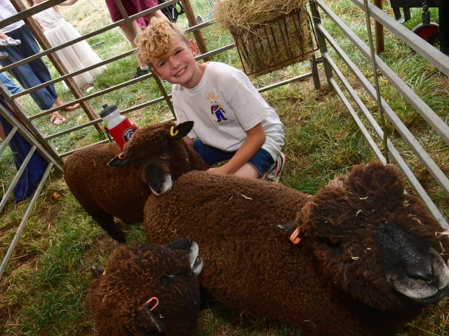 Young farmer Joe Trofer-Cook has become an international celebrity after TV and facebook appearances. He is pictured with his Ryeland Sheep and some of the merchandise he has created to help fund his farm. He next plans to breed cattle.
