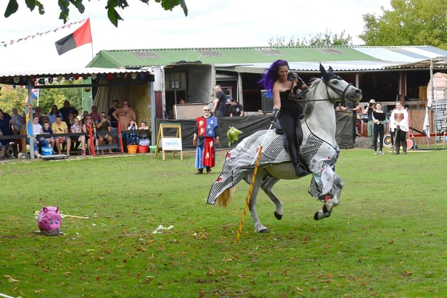Horses were the stars of the Medieval Tournament.