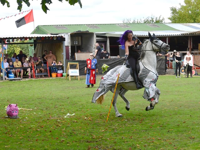 Horses were the stars of the Medieval Tournament.