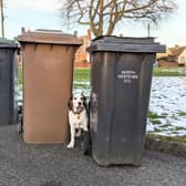 Waste and recycling advice in North Kesteven