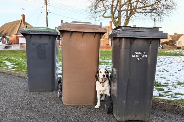 Waste and recycling advice in North Kesteven