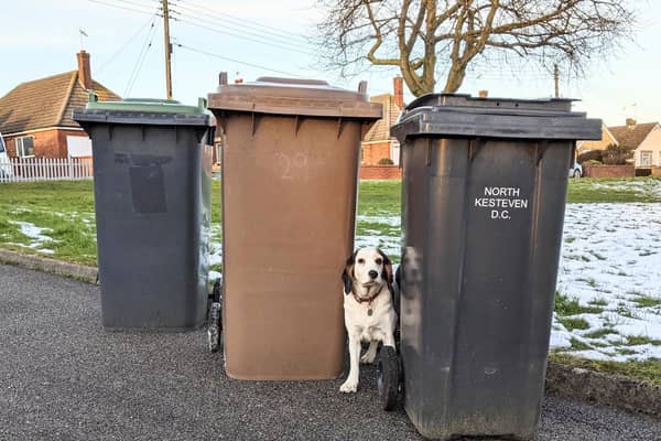 Waste and recycling advice in North Kesteven