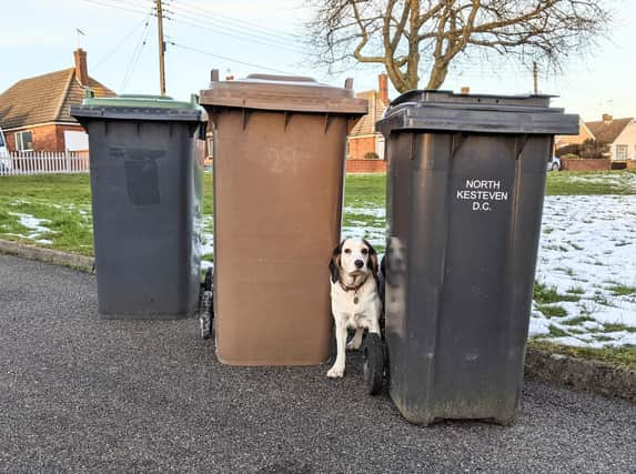 Waste and recycling advice in North Kesteven