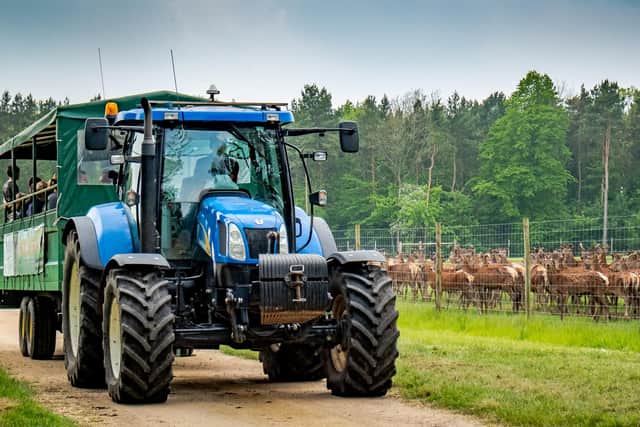 Deer safaris will run each day around the Stourton Estate.