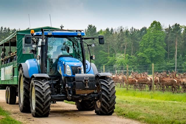 Deer safaris will run each day around the Stourton Estate.