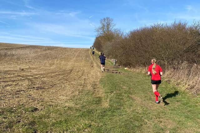 Runners on the cross country track