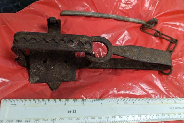 The gin trap involved in the incident in Boston. The devices have been illegal in the UK since 1958.