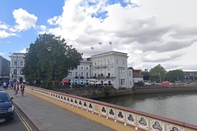 The tree, as it was in August 2022. Image: Google Street View