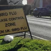 Another case of bird flu confirmed - near Metheringham.