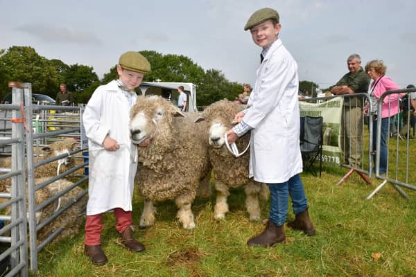 Six-year-old Benjamin Brook and ten-year-old Samuel Brook, from Yorkshire, preparing to show their Lincoln Longwool sheep at Sunday's Wragby Show and Country Fayre.