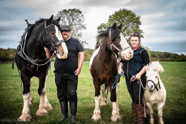 Bomber with Jon and Eve and fellow equine buddies Billy and Snickett.