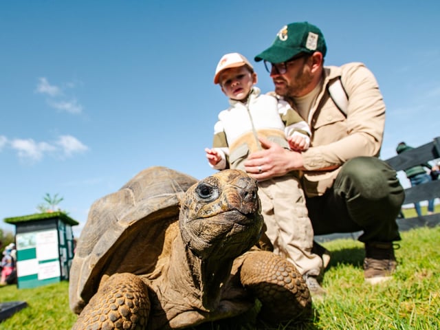 Families loved the animal petting area. Photo: Steve Smailes