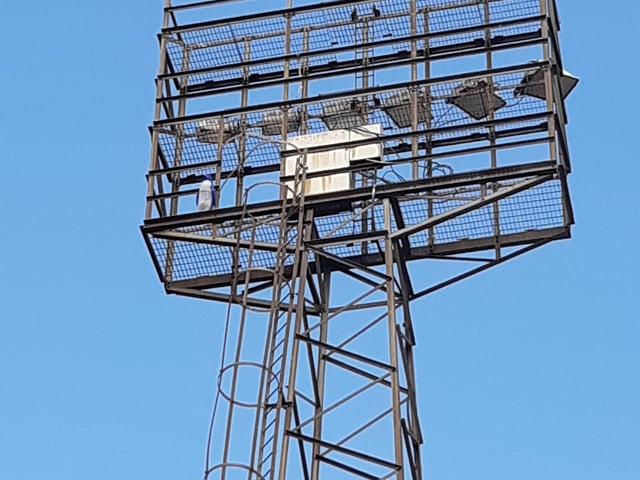 The penguin that was removed from the floodlights.