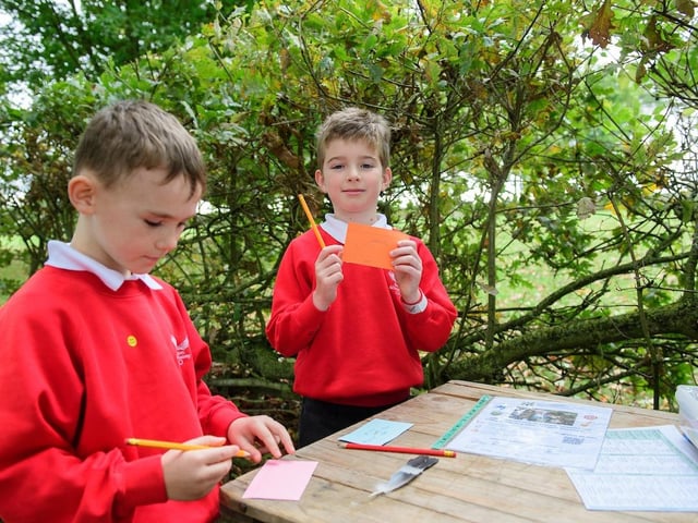Fun outdoors at the Lincolnshire Showground