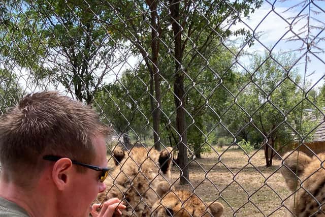 Ben Hare pictured with cheetahs in Africa in the past.