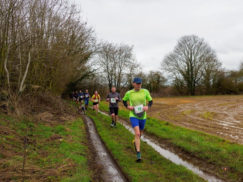 Caythorpe Dash half marathon runners and canicross participants.