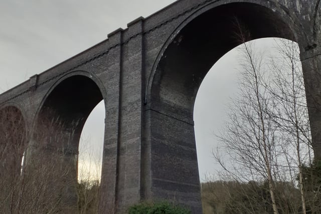An eye-catching photo taken on a grey day by Stuart Parker beneath the magnificent Conisborough viaduct.