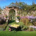 1. Apples in front of the long border archway at Gunby Hall.