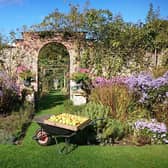 1. Apples in front of the long border archway at Gunby Hall.