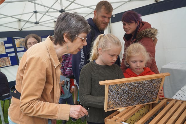 Lincolnshire beekeepers revealed the work of these honey producers