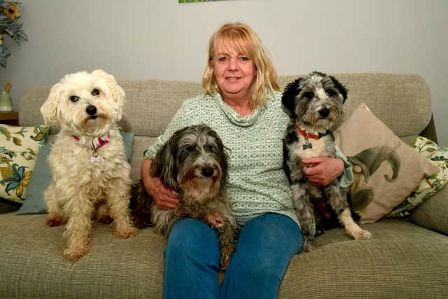Sally Hurren with her dog Pepper (middle) and Pepper's daughter Dotty (left) and son Ash (right). Photo: David Dawson