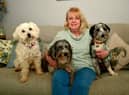 Sally Hurren with her dog Pepper (middle) and Pepper's daughter Dotty (left) and son Ash (right). Photo: David Dawson
