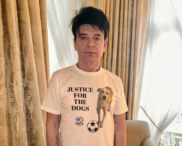 Gary Numan is speaking up for the World Cup dogs of Morocco - Animal News Agency