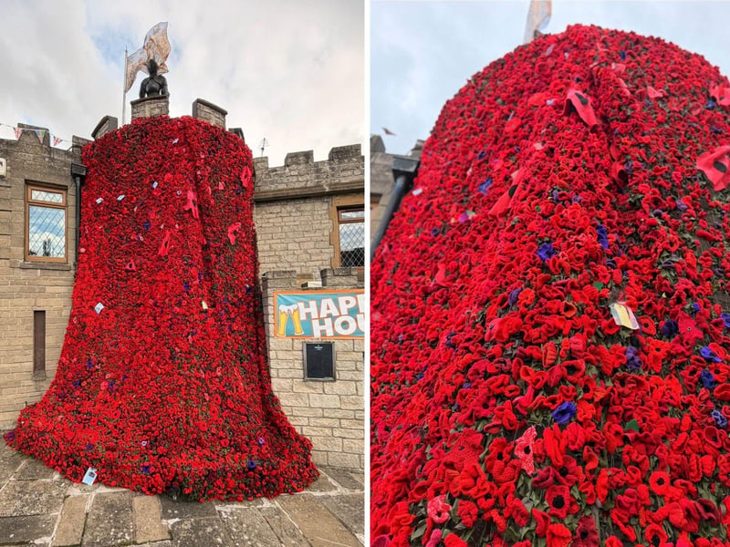 The poppies are an eye-catching and poignant reminder of the sacrifices made by armed forces personnel.