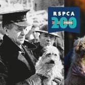 More than 6,000 animals rehomed by the RSPCA in Lincolnshire in last decade.