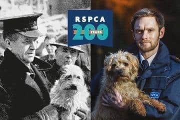 More than 6,000 animals rehomed by the RSPCA in Lincolnshire in last decade.
