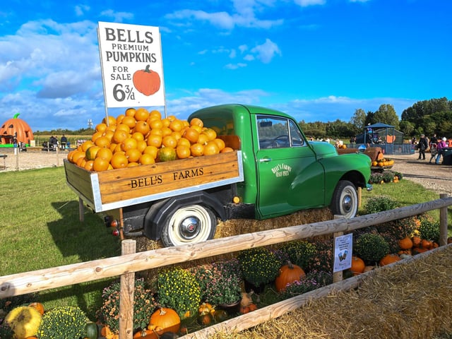 Bell's Pumpkin Patch is celebrating its 10th anniversary this year.