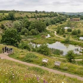 An artist's impression of how the restored quarry landscape could look.(Mansgate Restoration)