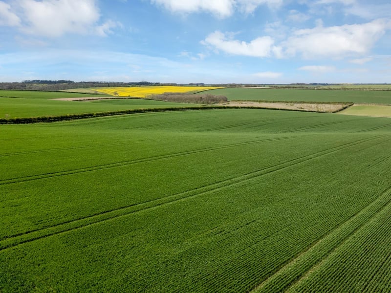 Tathwell Grange Farm comprises a total of about 650 acres.