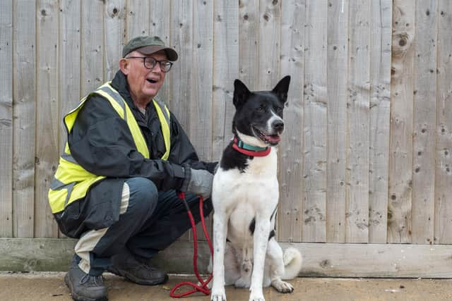 Ark volunteer Arthur Tinker with Lloyd the Akita cross.