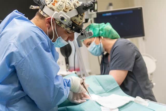 Old Registry's experienced team will be on hand to treat patients around the clock
