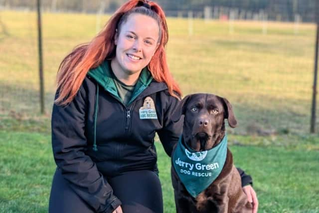 Bethany Stukins, Deputy Centre Manager and Animal Charity Employee of the Year Finalist from Jerry Green Dog Rescue in The Petplan & ADCH Animal Charity Awards 2025